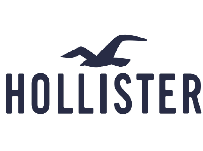 hollister Icon