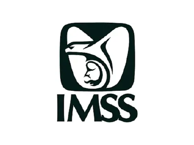 imss Icon