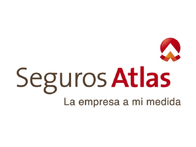 seguros-altas Icon
